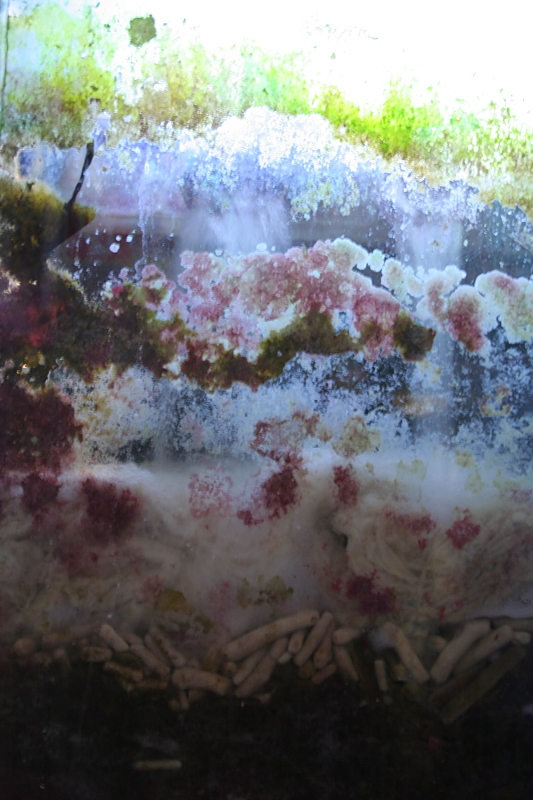 Killikus&reg; Fotographie